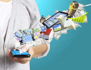 浅谈B2C电子商务模式 概念、特点及其在日用品销售中的应用